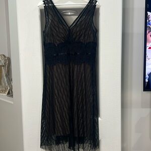 Adrianna Papell Lace Vintage Dress